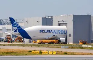 Die Beluga beim Entladen in Hamburg.